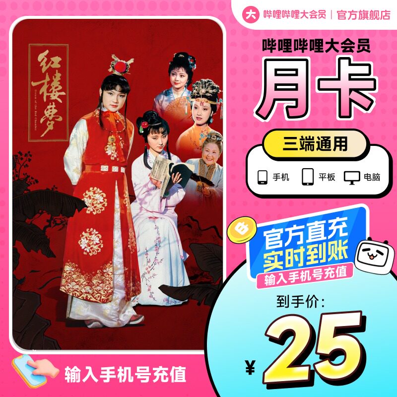 【活动专用】哔哩哔哩大会员月卡1个月 bilibili大会员月卡会员