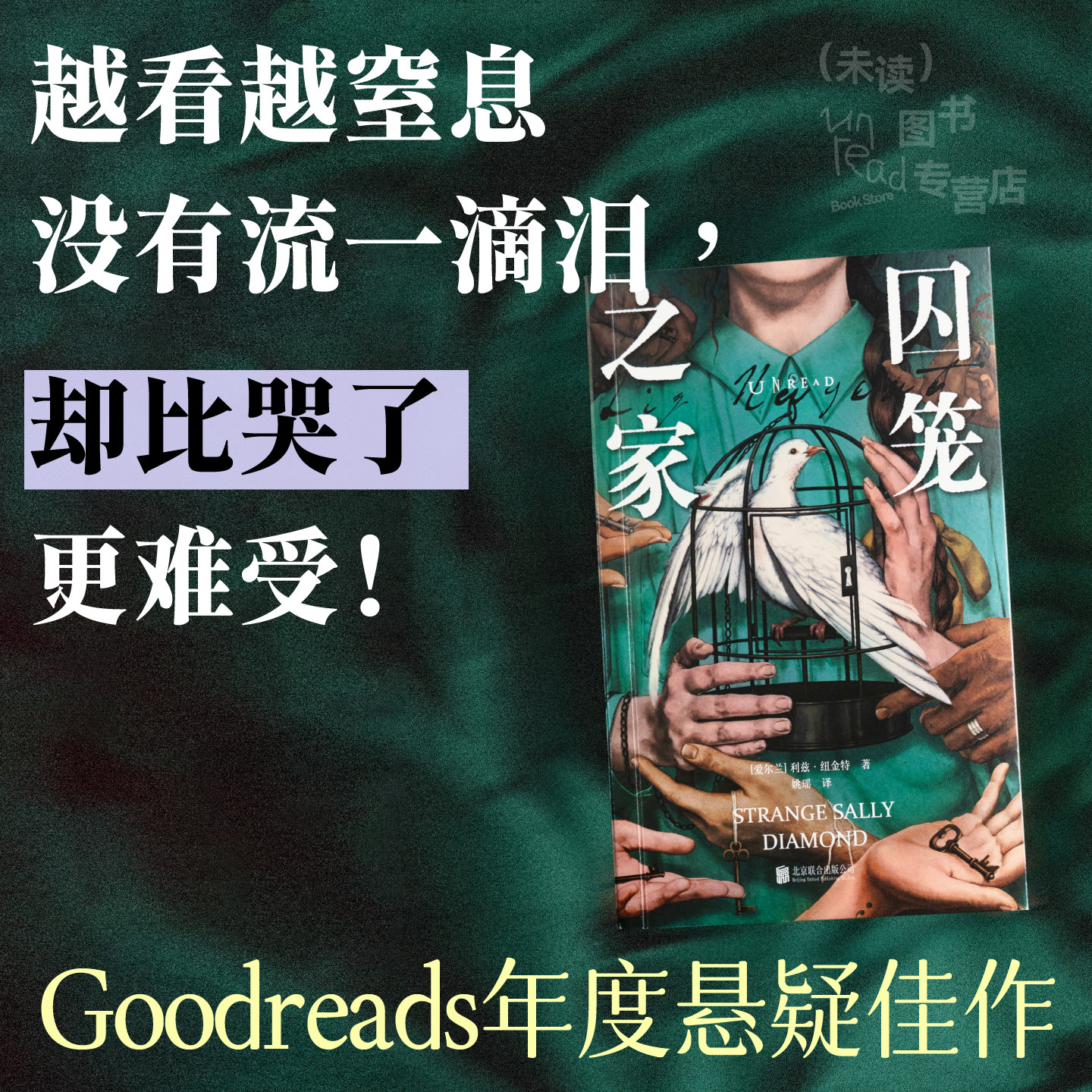 囚笼之家 爱尔兰悬疑犯罪小说女王 goodreads年度悬疑佳作 写透了人性之恶 悬疑推理小说 社会议题  未读真探社
