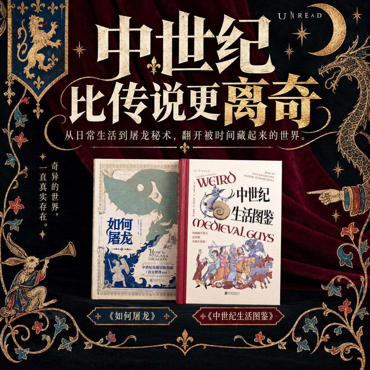 中世纪生活图鉴 如何屠龙 特装版 常规版 夜光版 中世纪历史 像玩游戏一样通关欧洲历史 骑士 城堡 龙与地下城 未读