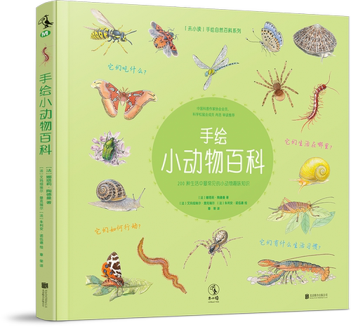 未小读知识科普审美有趣