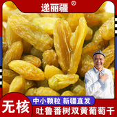 新疆特产干果吐鲁番树上黄葡萄干无核无籽酸甜500g 袋产地直发