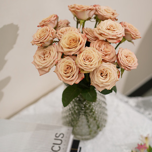 玫瑰花鲜切花顺丰部分次日达基地直发白粉红家庭插花礼物年宵