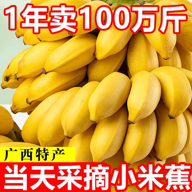 广西小米蕉整箱5斤特价!