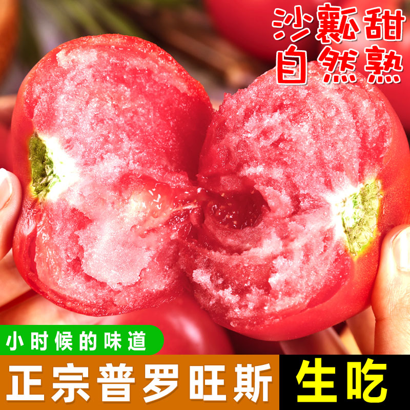 【自然熟】正宗四川普罗旺斯沙瓤番茄生吃西红柿当季新鲜现摘整箱