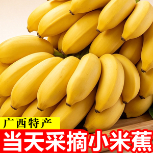 广西小米蕉超值整箱包邮