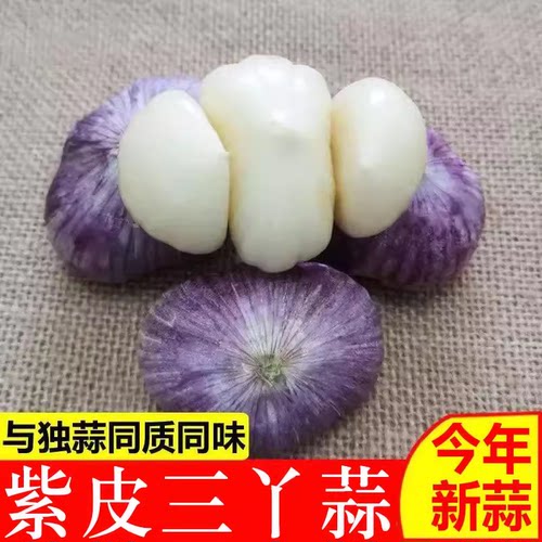 紫皮三丫蒜5斤大蒜头新鲜独头蒜同味鲜蒜独蒜湿蒜农家瓣蒜新蒜10