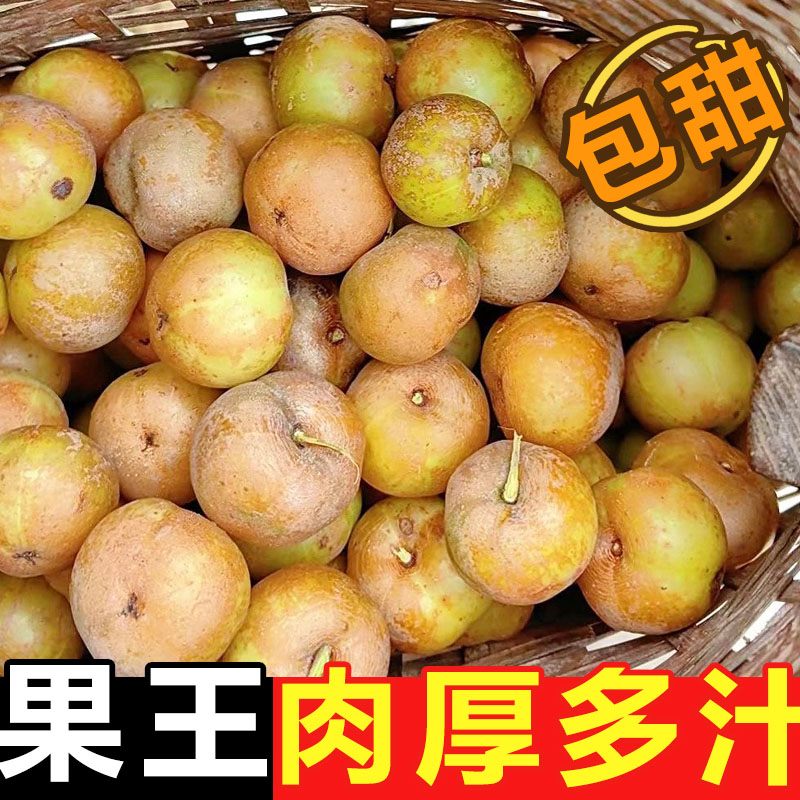 潮汕甜种油柑果现摘油甘果新鲜余甘子牛甘果柿饼甜油柑农家酸水果