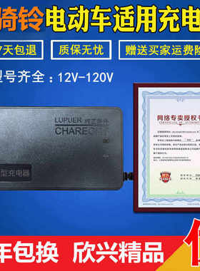 极速玉骑铃电动车充电器原装24V48V12AH60V6J4V72V80V96V20AH通用