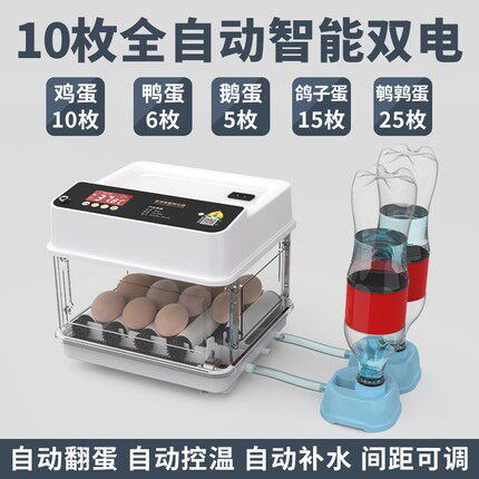 新品厂销新柯尔鸭孵化器小型家用孵化机全自动智能孵蛋Z器小鸡鸭