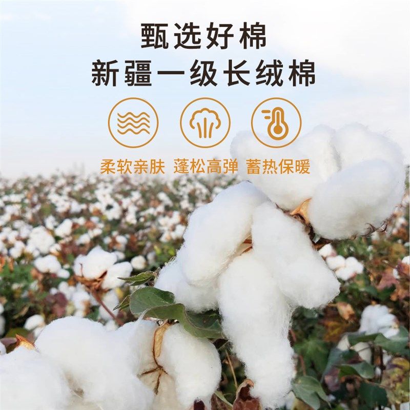 新品新疆一级长绒棉被纯棉花被子棉D絮床垫被褥子秋冬被芯加厚保