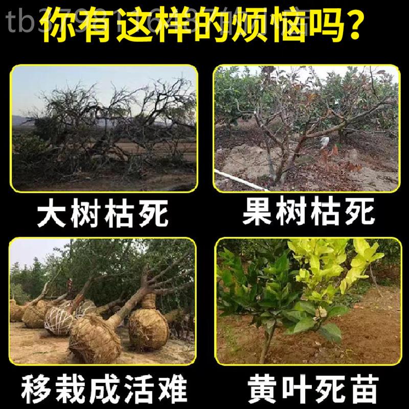 极速生根粉多灵菌大树成活营养液死树复活生根药水T复活液死苗烂