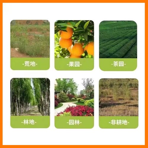 极速田埂果园专用马塘芦M苇牛筋騲水花生