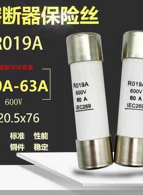 极速佑熔 熔断器R019A 32A 40A 50A 60A 63A陶瓷保险丝管60Y0V 20