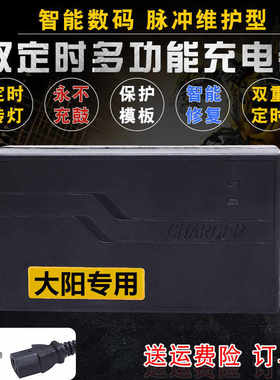 极速大阳电动三轮f车车电瓶充电器36V12AH48V20AH60V30AH72V35AH3