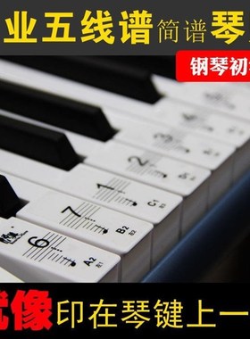 极速88 key pihano transparent sticker 61 key keyboard keyboa