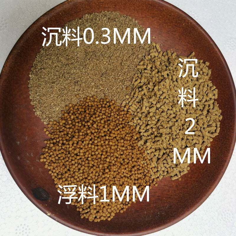 新品马口长鳍鱲宽鳍鱲溪哥鰟鮍血鹦D鹉草金锦鲤旁皮五彩色冷水鱼