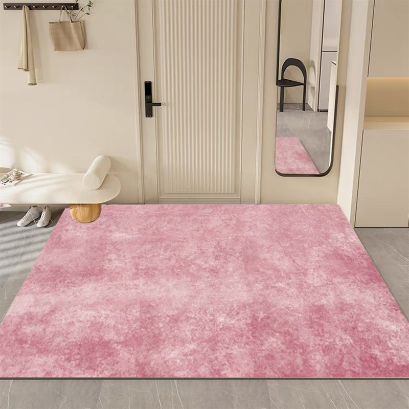 极速入门b户地垫轻奢简约现代高端纯色入户PVC门垫可擦洗进门家用