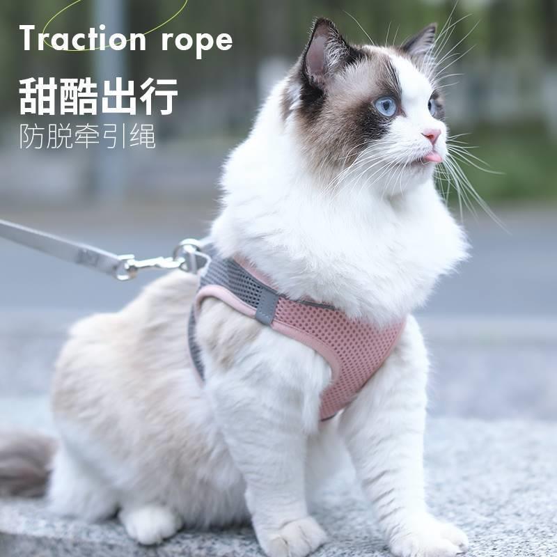 极速猫咪牵引绳背心式胸抱婴袋外出专用防L挣脱猫绳子溜猫绳栓猫