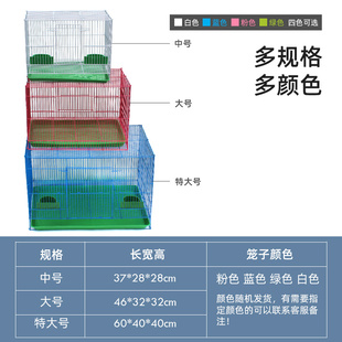 极速家养天竺鼠荷兰猪兔子豚鼠笼子带托盘别墅窝S室内家用大号空