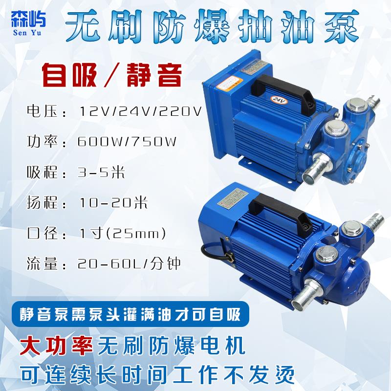 极速12/24V防k爆抽油泵无刷马达220V电动导油泵大流量计量自吸泵1