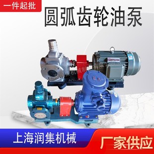 速发卧式 转动齿轮油泵铸铁不锈钢材质电弧圆子齿轮油泵圆弧齿轮泵