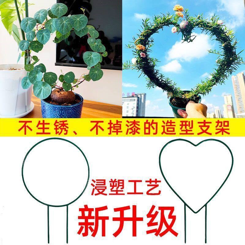 速发室内爱心形铁艺花架山乌龟绿萝爬藤架子绿植攀爬园艺圆形造型