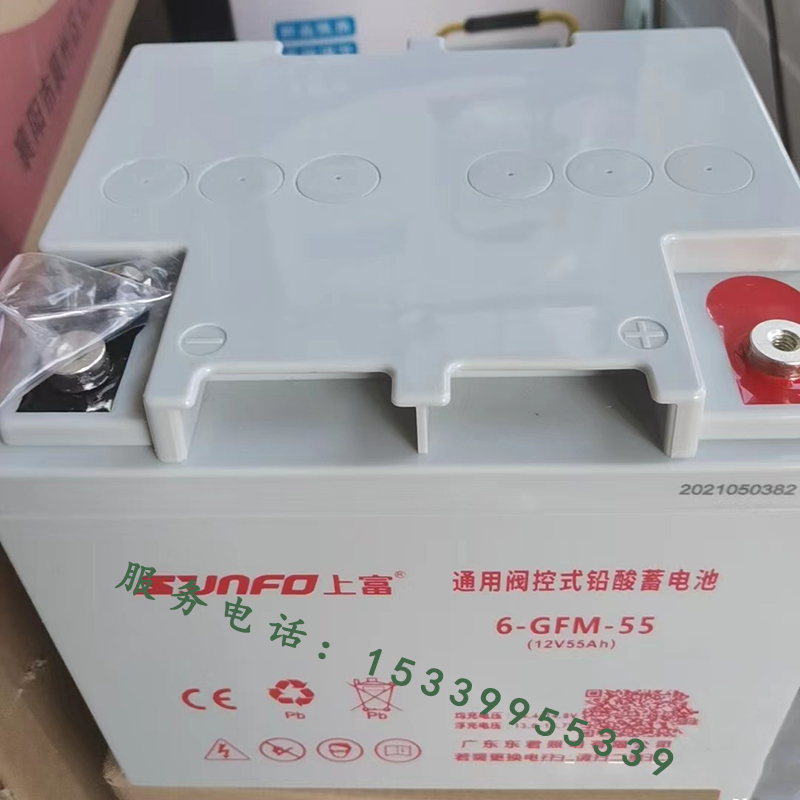 广东东君EPS应急照明集中电源配电箱控制柜36VM上富蓄电池6FM33AH