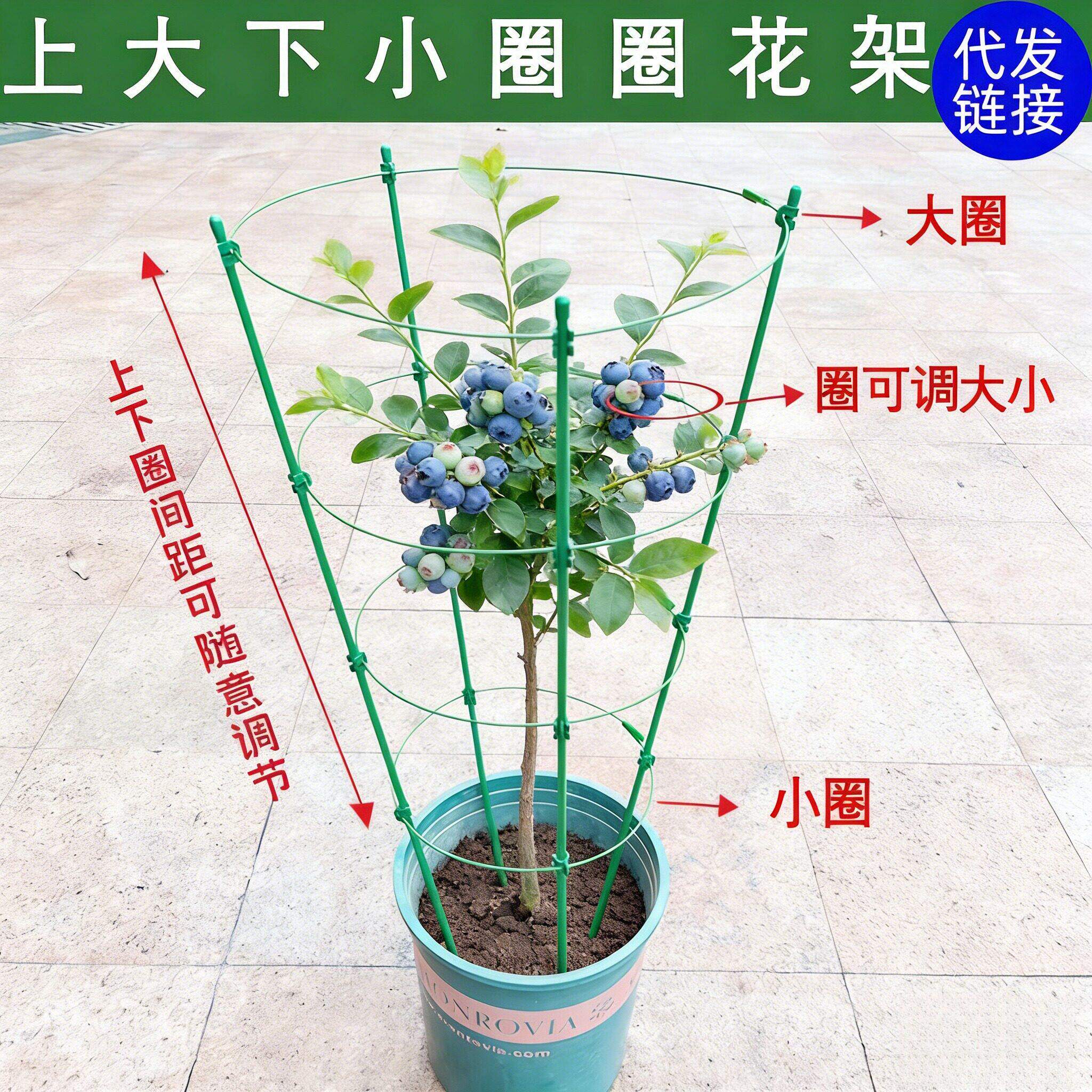 蓝莓支撑架爬藤花架月季蟹爪兰绿箩三层多层可伸缩阳台绿植室内攀
