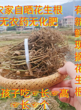 新鲜花生根花生叶失眠小孩长身高