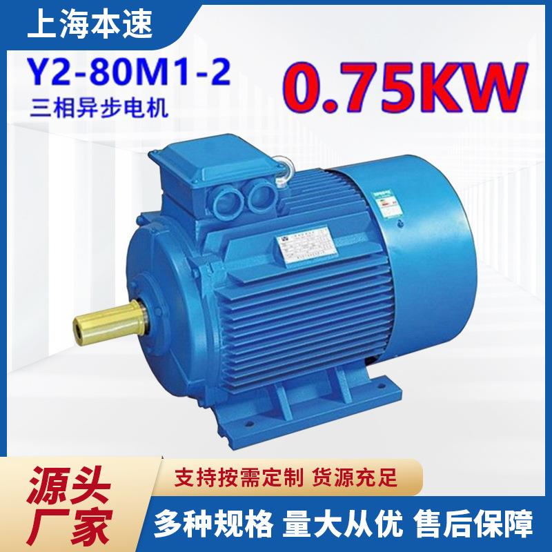 Y2-80M1-20.75KWY2系列马达三相异步2极交流电动机马达机械设备