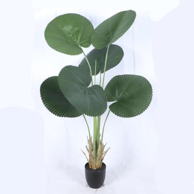 北欧风仿真圆叶轴榈叶假绿植盆栽大扇子形叶子蒲葵造景拍摄装饰摆
