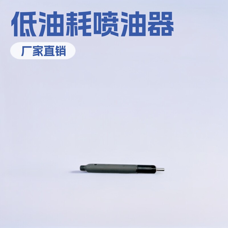 61560080276 柴油喷油器 厂家直销 WP12潍柴发动机WP10 WD615O
