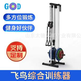 墙体飞鸟综合训练器高位低拉扩胸器多功能组合训练器