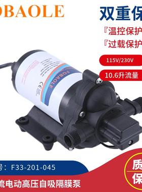 115V交流高压自吸隔膜10.6升开关微型抽水泵洗碗机230V洗车增压泵