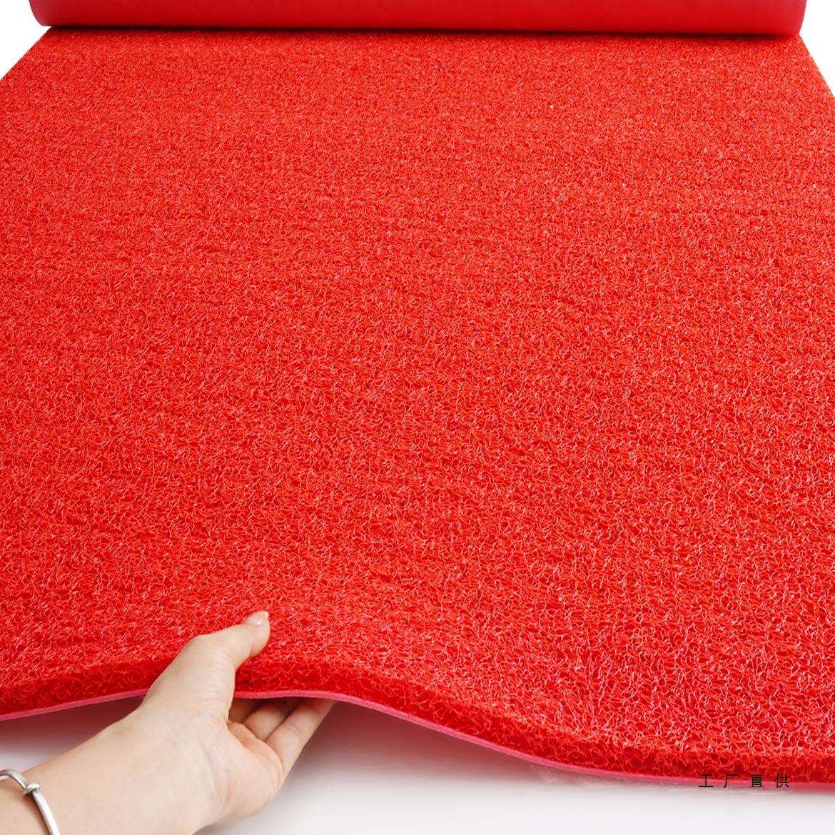 丝圈地垫入户门垫室外防滑脚垫公司门口进门迎宾地毯商用定制LOG