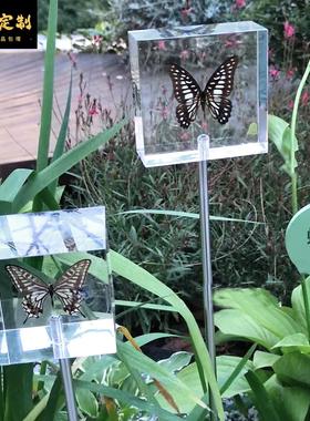 压克力蝴蝶标本果实昆虫植物户外科普装置幼儿园林软装造景设计创