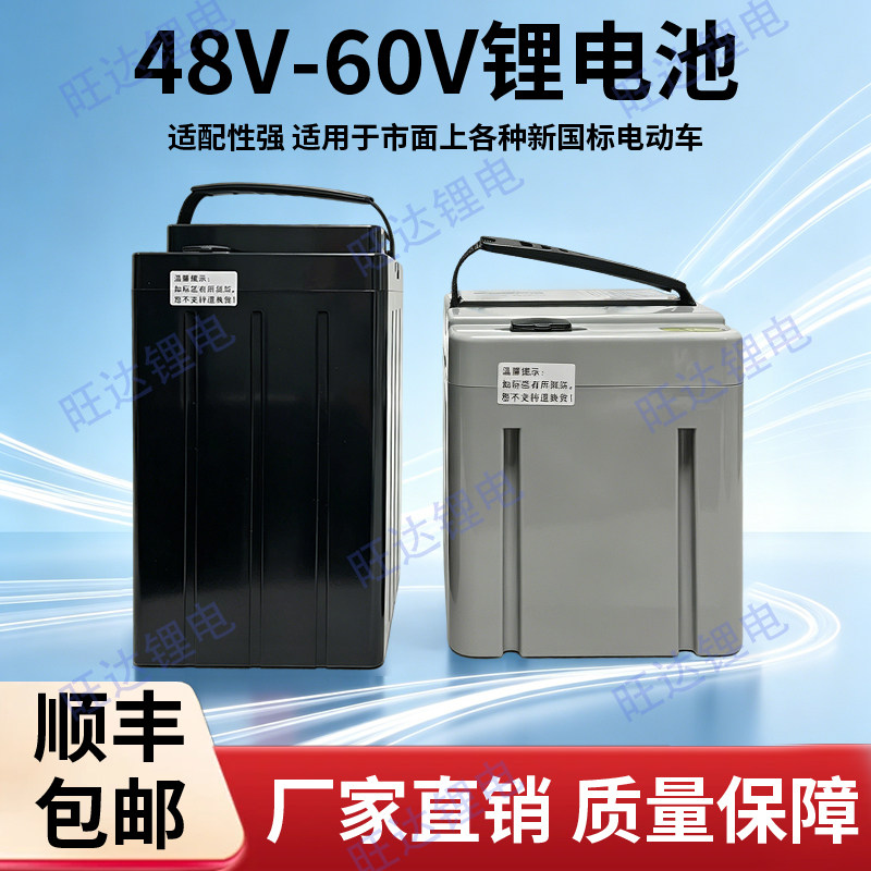 星恒天能同款厂家直销雅迪台铃爱玛新国标电动车48v20ah锂电池