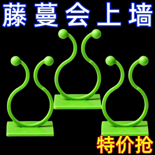 绿萝爬墙固定器绿植攀爬绿植爬墙神器夹子墙上无痕挂钩粘爬藤杆子