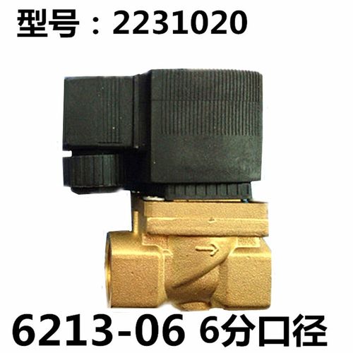 6213-04宝德型电磁阀 2分/4分6分/1寸气阀 2231015 DC24V AC220V