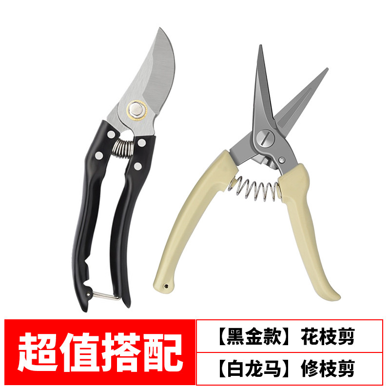 摘水果神器园林艺剪刀修枝剪剪树枝剪刀花枝摘柿子修枝剪树枝剪刀