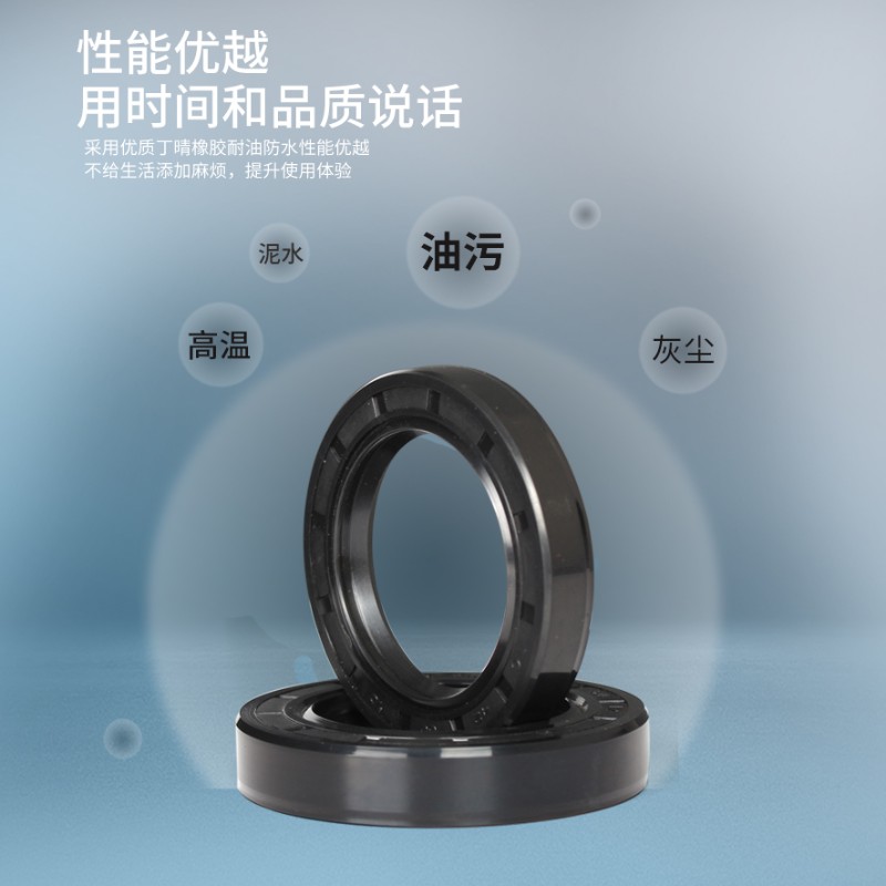 TC骨架油封200*205*220*225*230*235*240*250*12*13*15*16*18*20