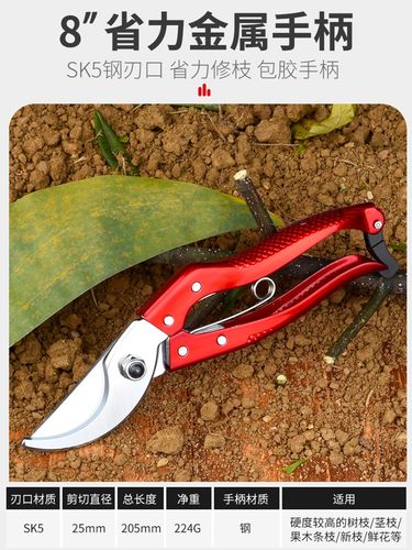 园艺剪枝剪刀修枝剪粗枝剪园林花艺剪子修剪树枝专用省力剪切工具