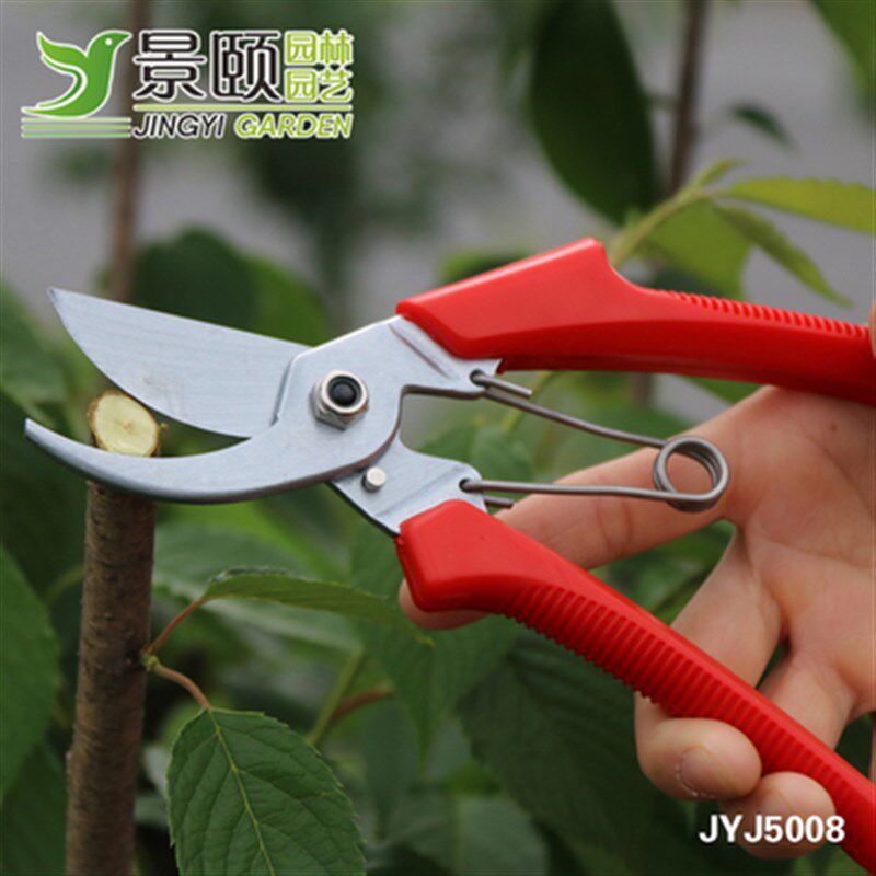 园林园艺工具进口大剪刀伸缩剪绿蓠剪大花剪果树草坪剪修枝大剪刀