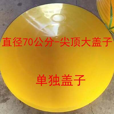 20公斤40公斤养鸡料桶网格盖子尖顶盖料槽食桶