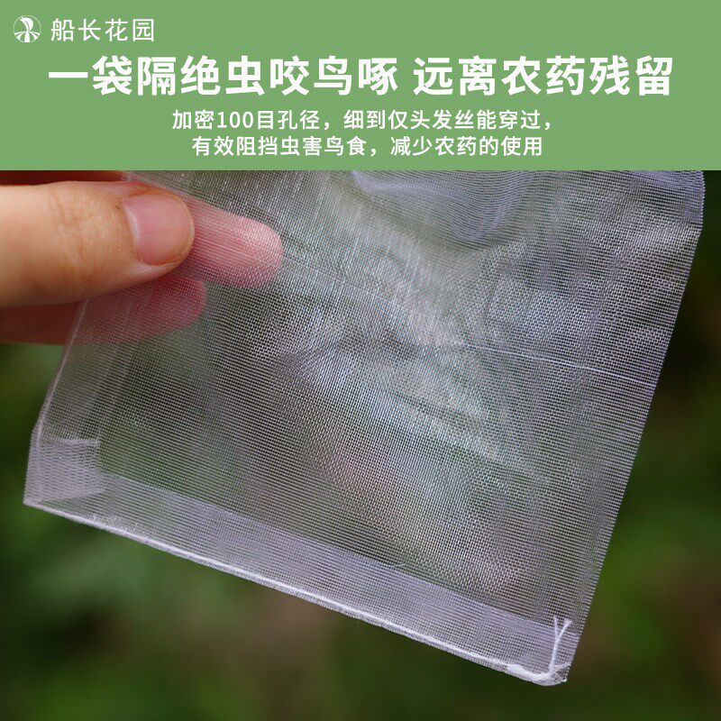 速发节瓜专用套袋黄瓜西葫芦茄子防虫防鸟神器瓜果通用尼龙水果网