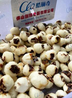 A商用去全自动OLZ无皮损伤土豆刨皮机 马铃薯机 球根土茎豆削皮机