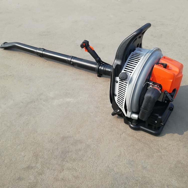 路面吹尘雪机 汽冲动力SL CFJ-B吹油风机 四程吹吹风机