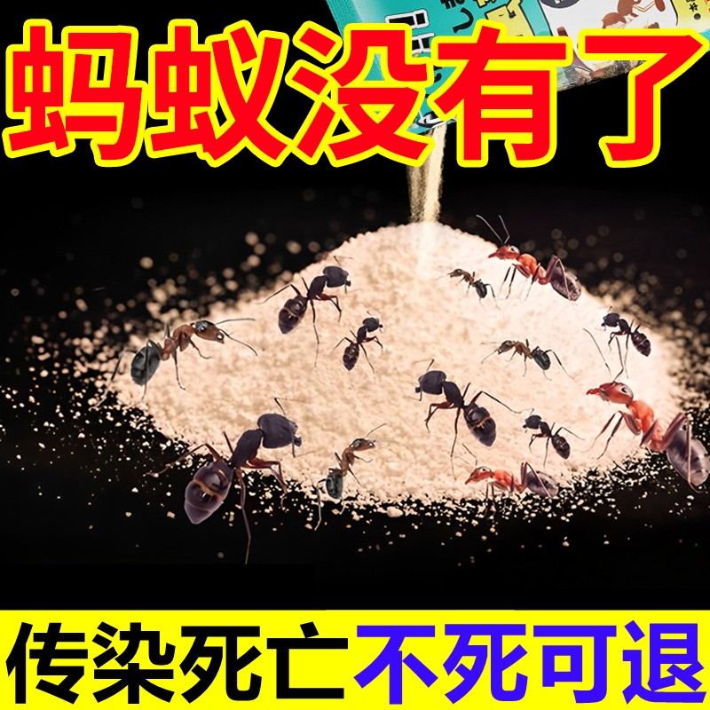蚂蚁药家用全窝端厨房室内菜地灭杀蚁饵剂红火黄黑蚂蚁强效第一名,洗护清洁剂/卫生巾/纸/香薰,杀虫剂（卫生农药）,淘宝优惠券,粉丝福利购,淘宝优惠卷