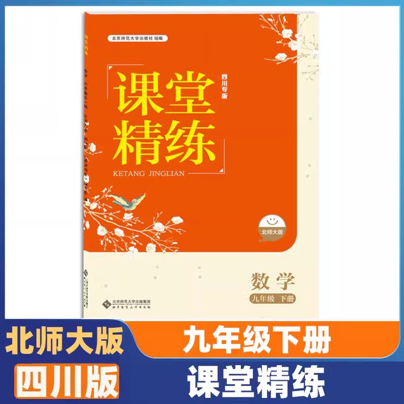 课堂精练九年级下册数学北师大版BSD 四川专版 2025春新版 课堂精练9下数学北师版四川专用 初三同步练习册习题北京师范大学出版社