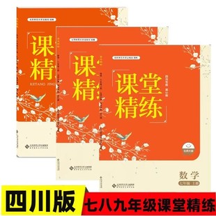 课堂精练七八九年级上下册数学北师大版 四川专版 课堂精练789年级下数学北师版 北京师范大学出版社 数学同步练习四川专用练习册